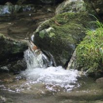 青弋江源头方家岭