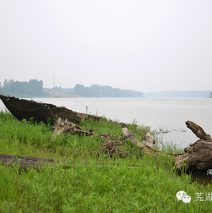 【5月18日步道体验回顾】发现青弋江边的故事