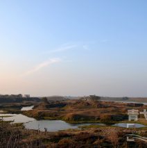 青弋江步道路线三：陶辛——方村老街