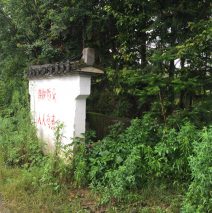【2015青弋行者行动报告】江上的垃圾——调研篇之美溪