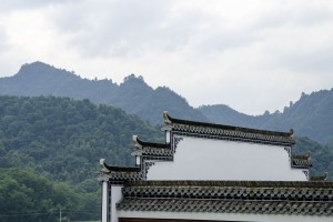 DSC2700