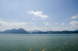 DSC2833