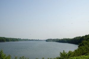 DSC3149