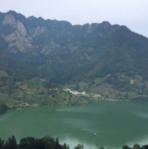 茶语青弋江丨猴之茶韵——太平猴魁